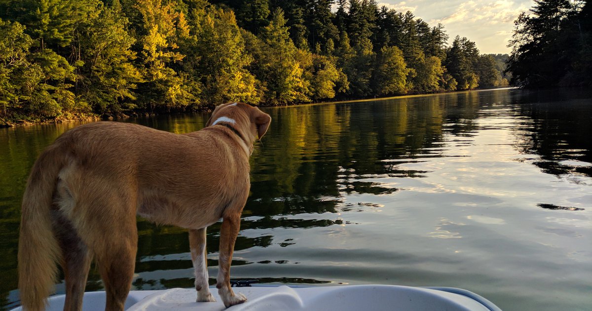 Valdese Lakeside Park Burke County Tourism